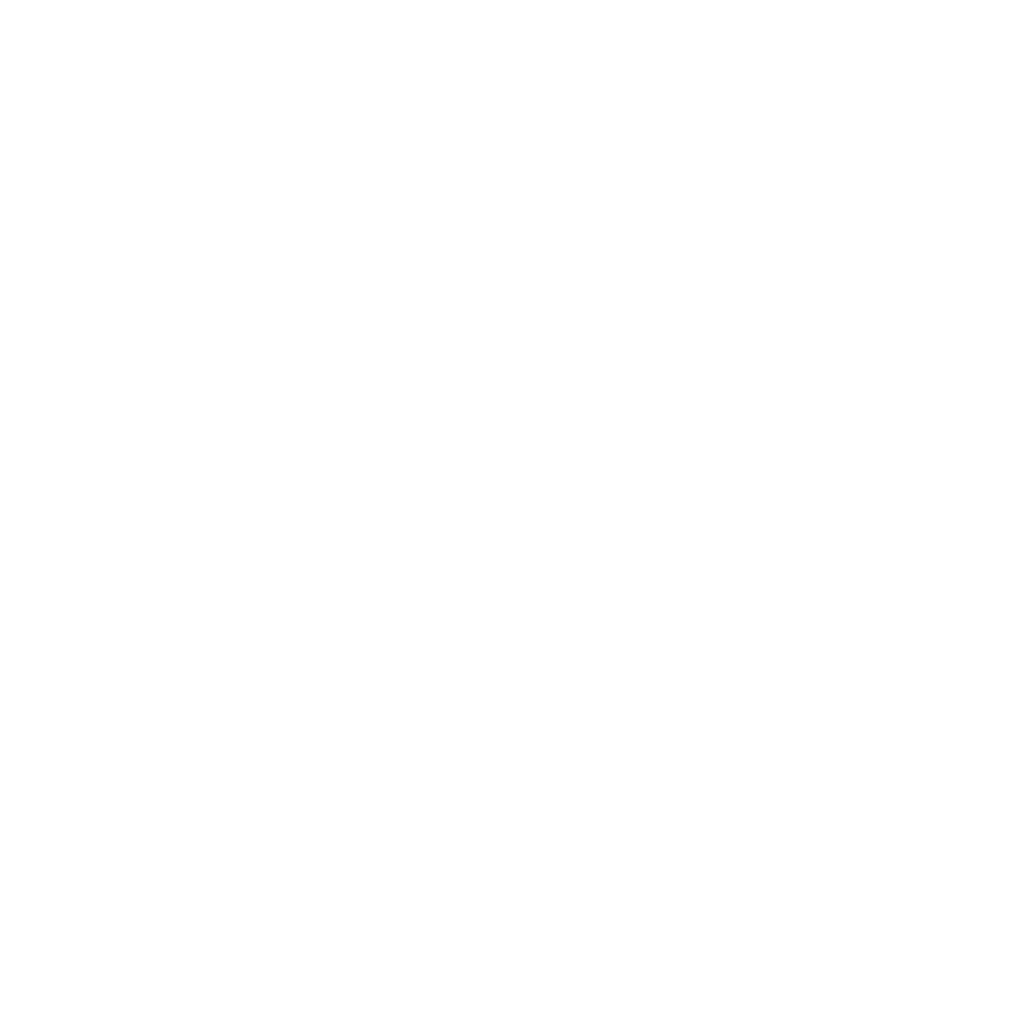 Dashboard setforth nigeria organization